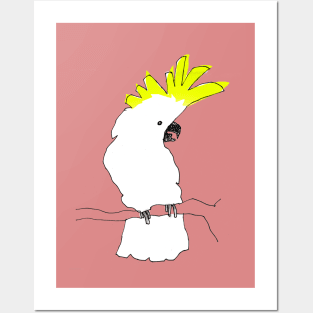 cockatoo Posters and Art